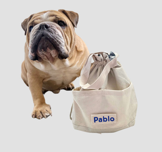Dog insulated travel bag to keep dog food Travel dog food bag or cooler dog bag. You can put your dogs name on it.