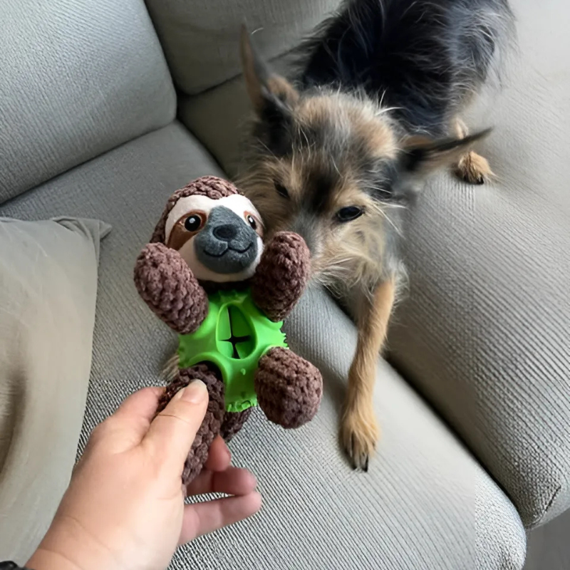 Sloth Toy