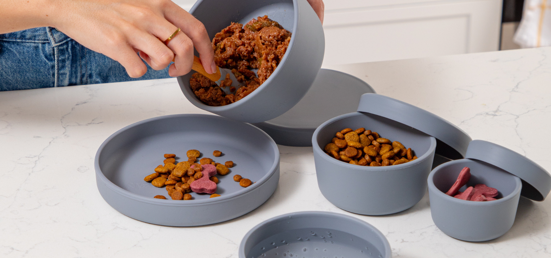 How to Store Wet Dog Food Properly