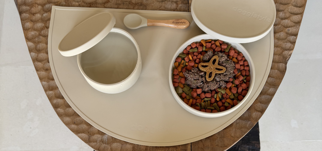Small Feeding Habits That Create Cleaner Homes