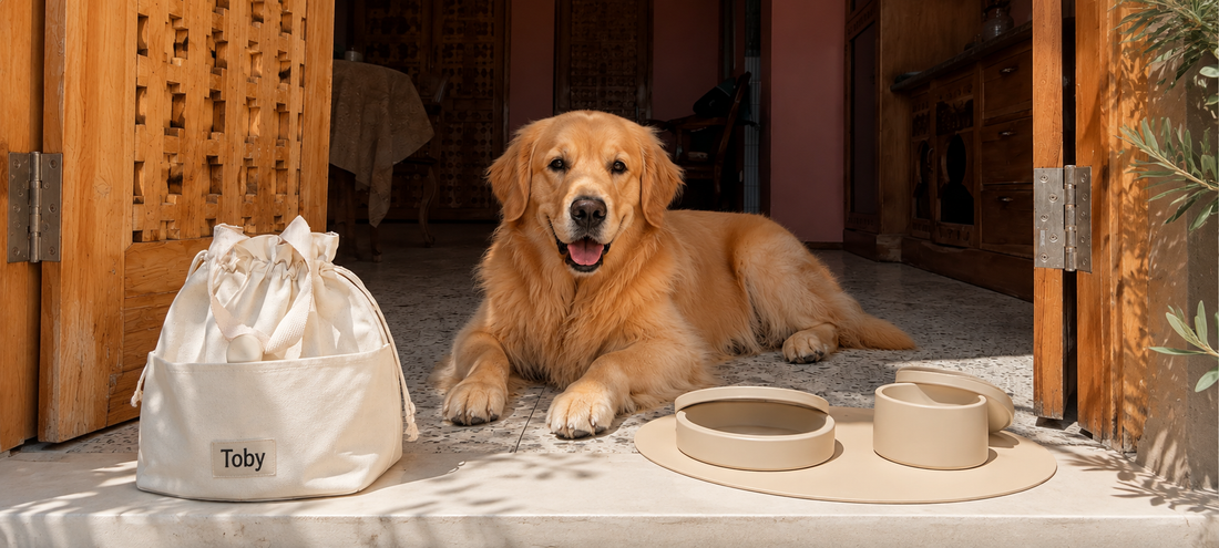 Dog Travel Feeding Checklist