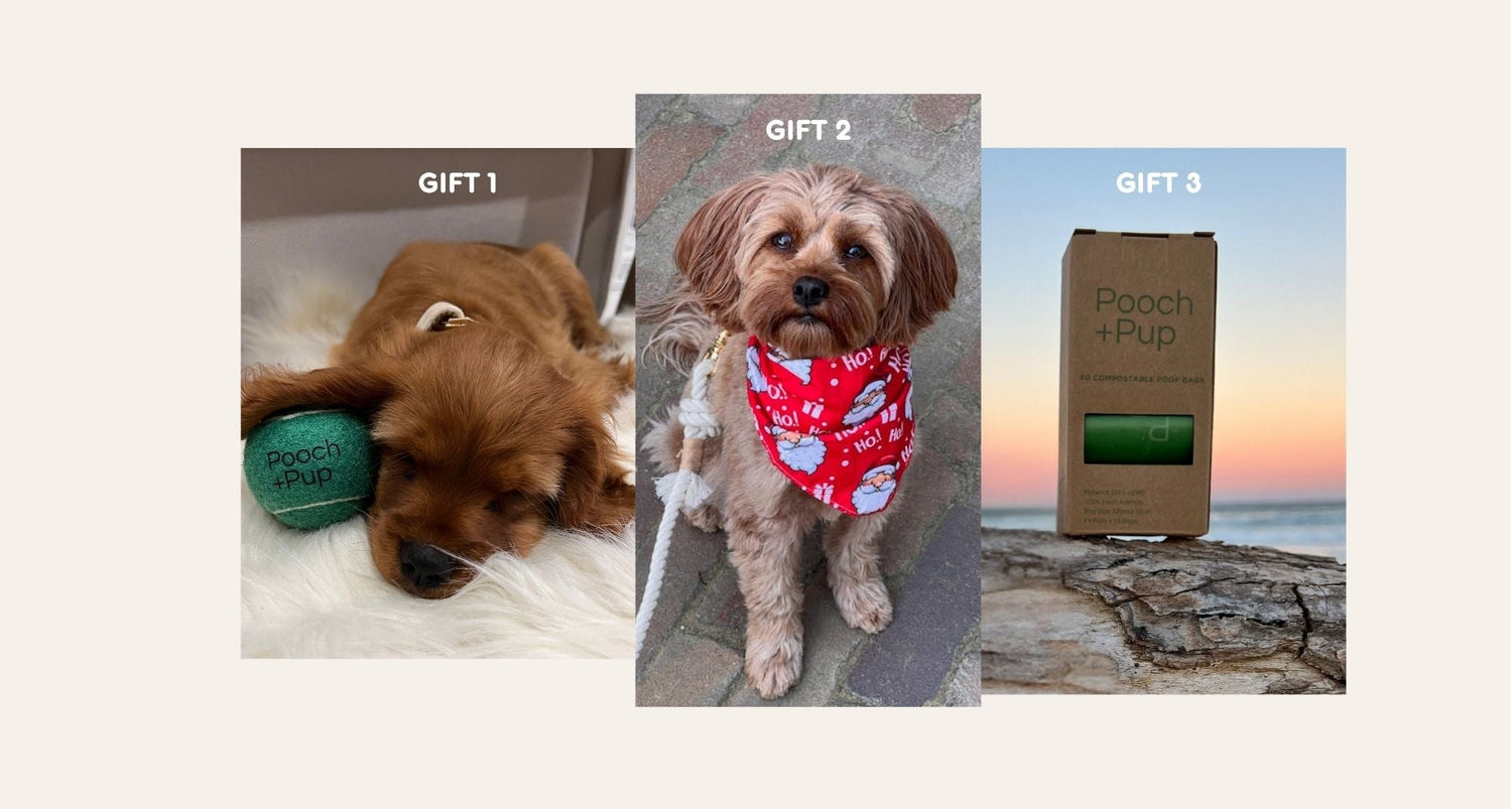Christmas Gifts