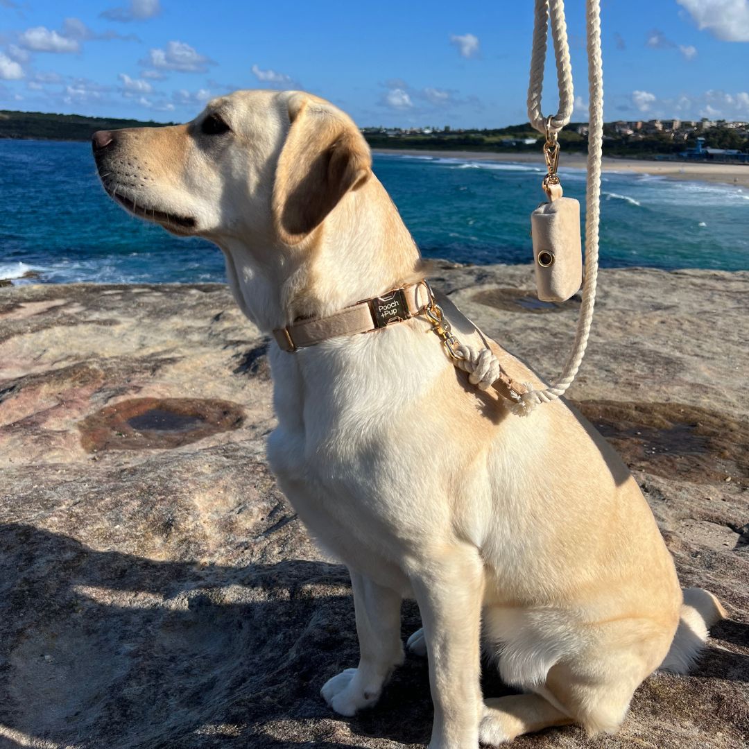 Soft Beige Poop Bag Holder