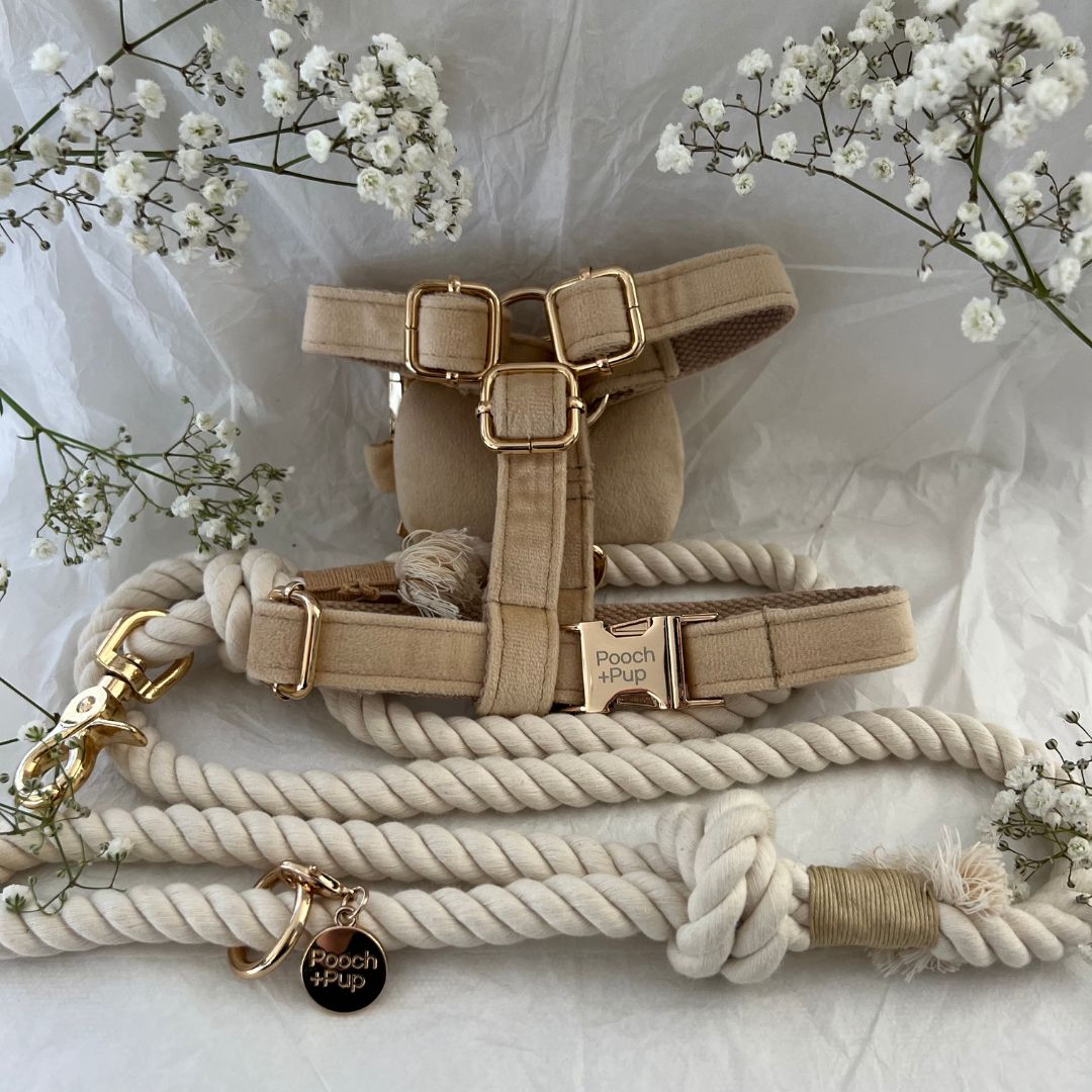 Wedding Bundle with Harness