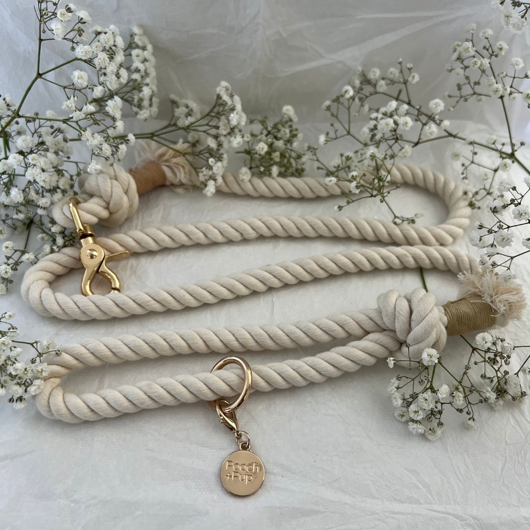 Wedding Bundle with Harness