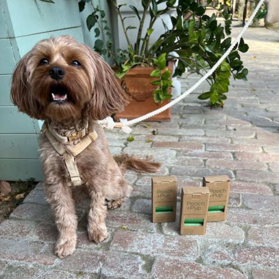 Natural Cotton Rope Lead + Earth Friendly Poop Bags