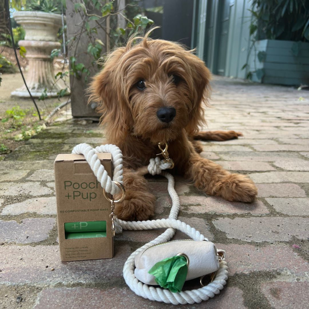 Soft Beige Poop Bag Holder