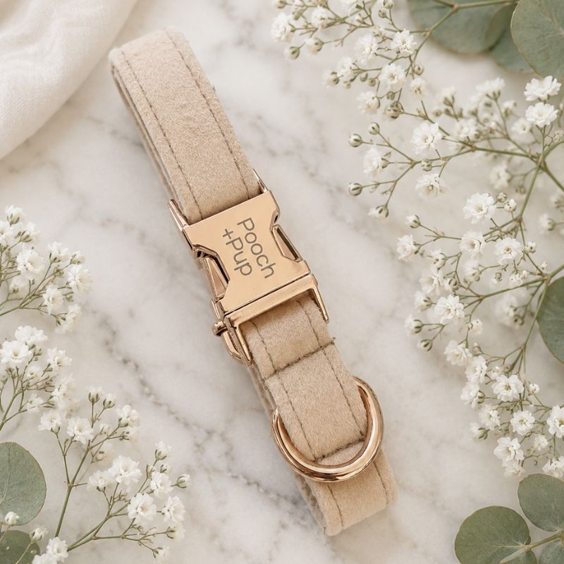 The Wedding Collar Setup