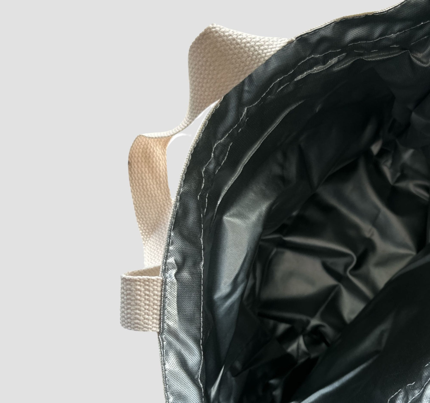 Travel dog food bag or cooler dog bag. 