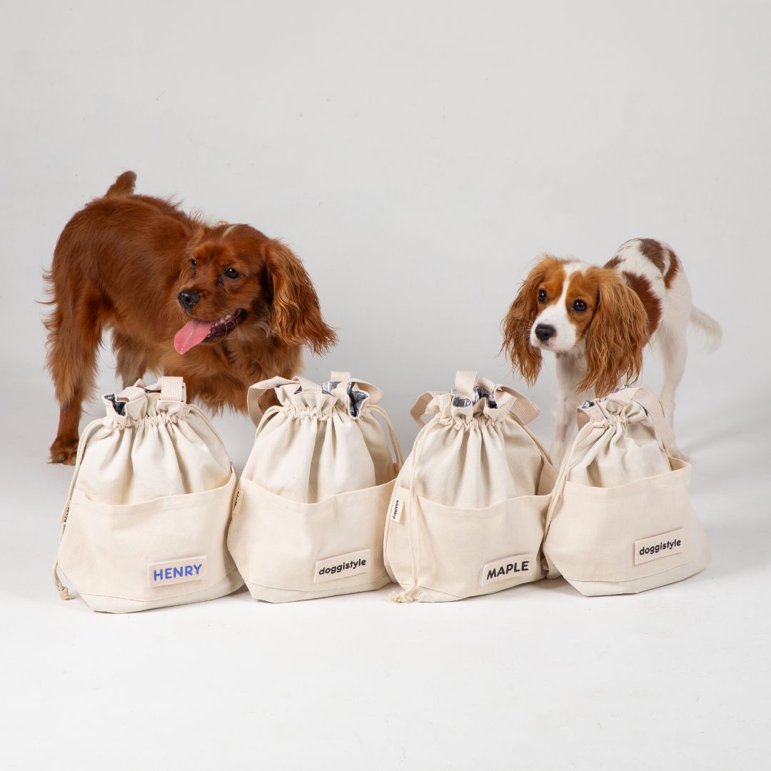 Dogs hanging out around the different options for the lunch cooler bag for dogs.