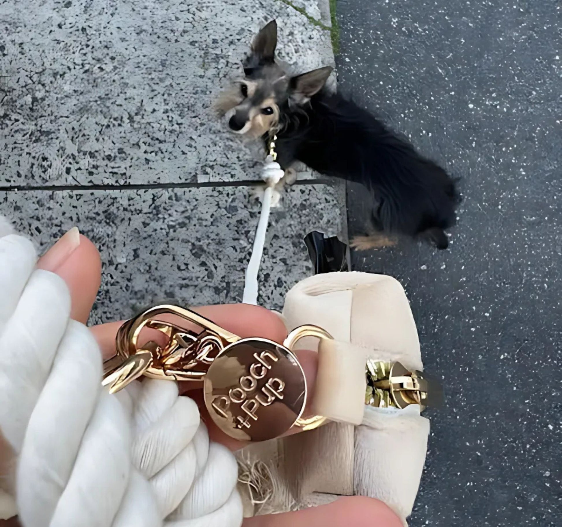 Dog poop bag holder leash attachment