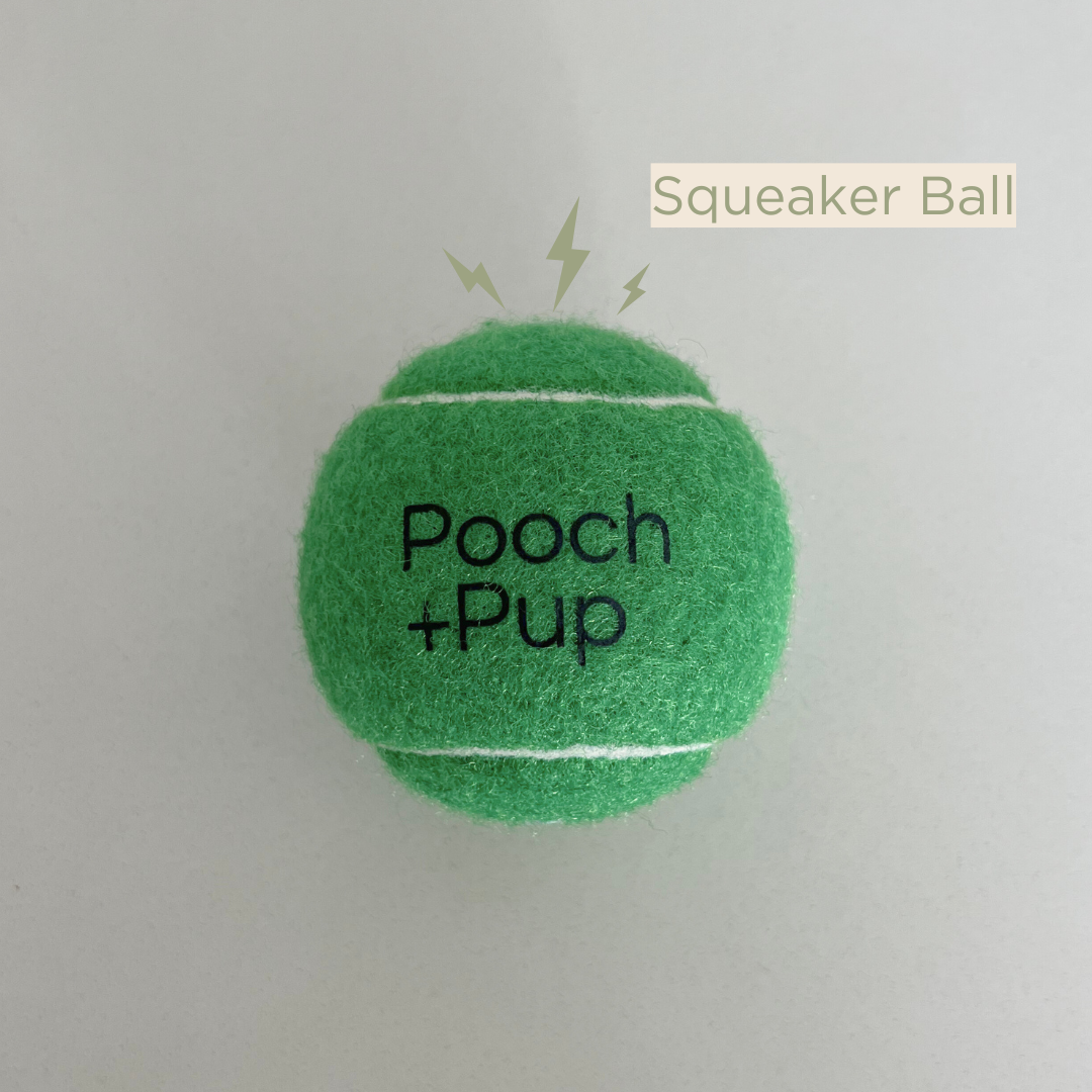 Squeaker Ball