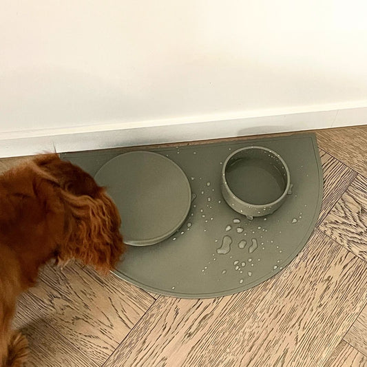 Dog spilt his water bowl and his green food mat has kept the floor dry and mess free. 