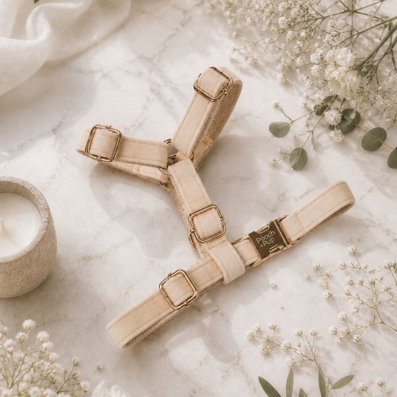 The Wedding Harness Setup