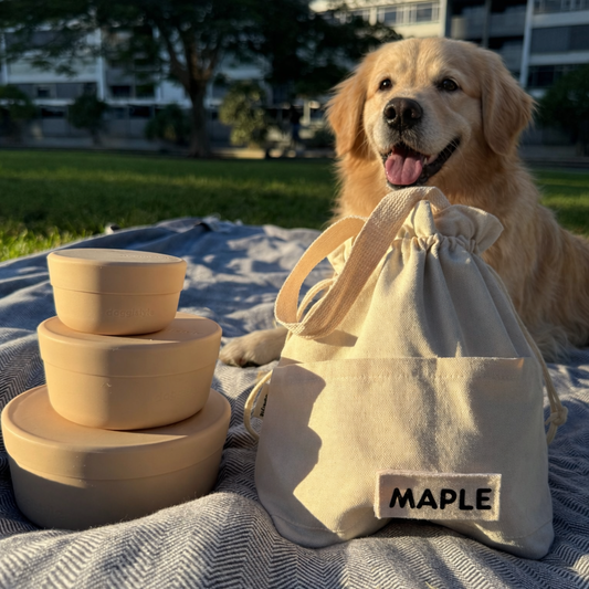Leak-proof beige silicone containers bundle for storing dog food and treats at home or during trips. Personalised dog food box.