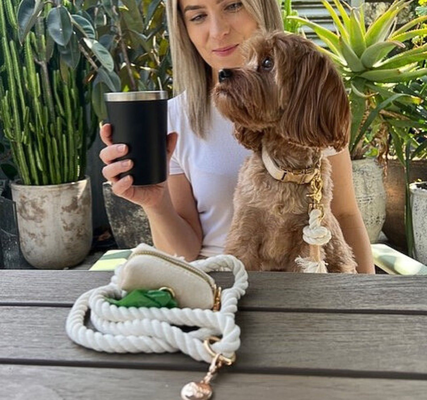 Dog at cafe wearing walking accessories