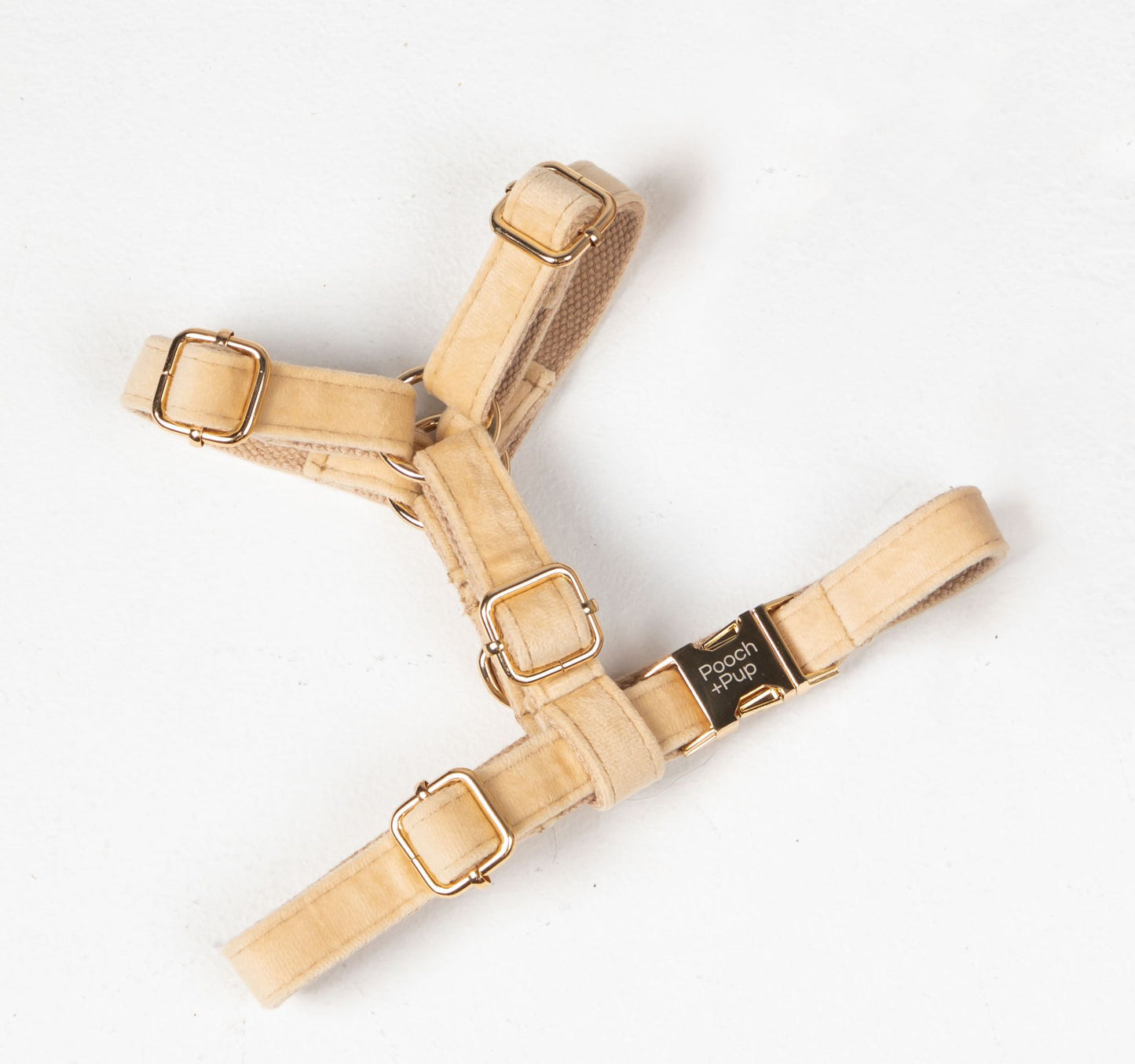 Y-Front velevt dg harness in beige