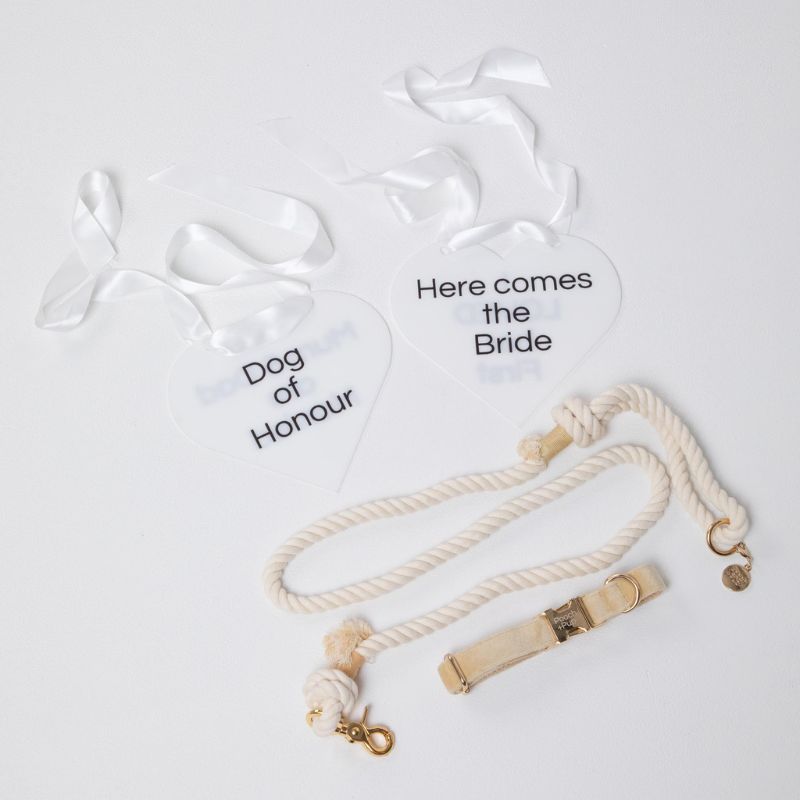 The Wedding Collar Setup