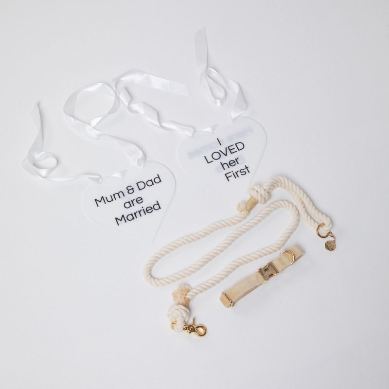 The Wedding Collar Setup