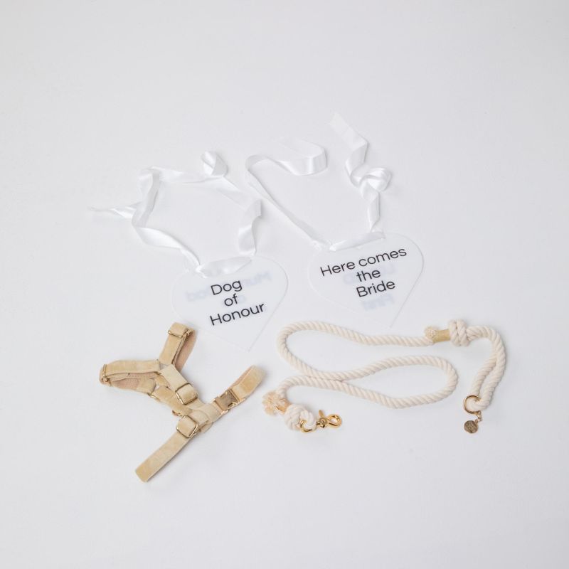 The Wedding Harness Setup
