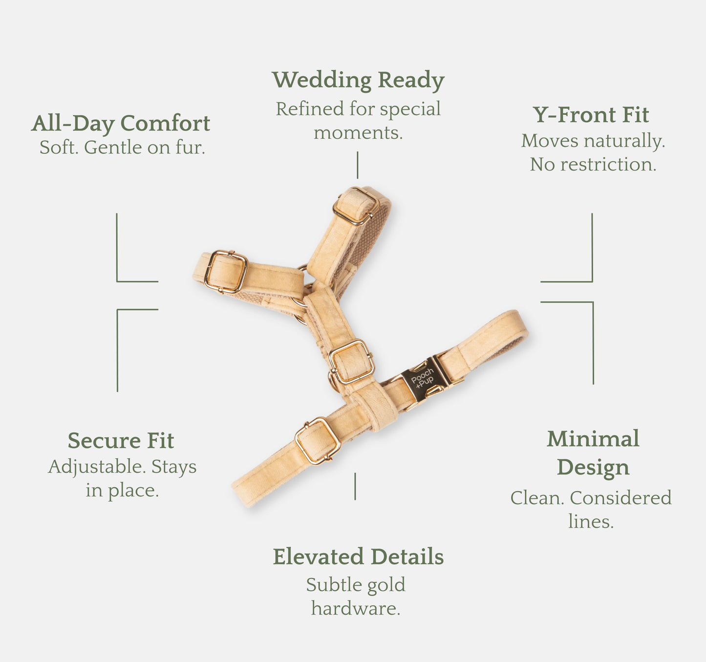 Adjustable beige velvet harness with gold hardware