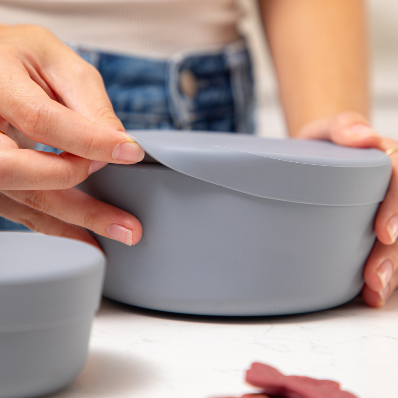 Airtight dog food container and plate designed to prevent spills and leaks