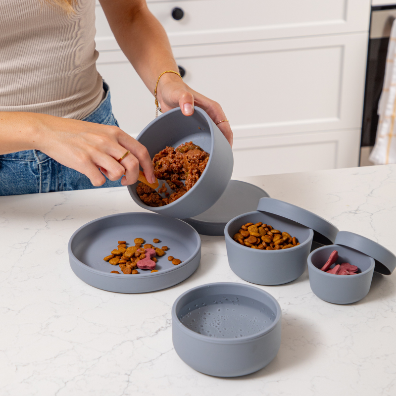 Blue dog food storage container with spoon scooping food into bowl