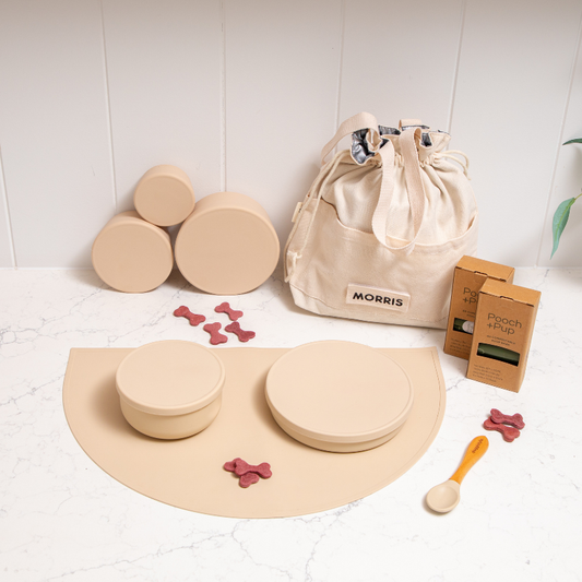 Complete dog feeding system including storage containers, bowls, mat, spoon and travel tote