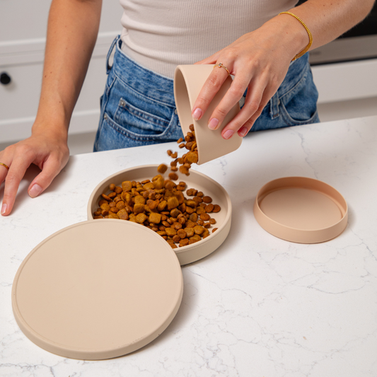 Dog food storage containers with feeding bowls for structured mealtime