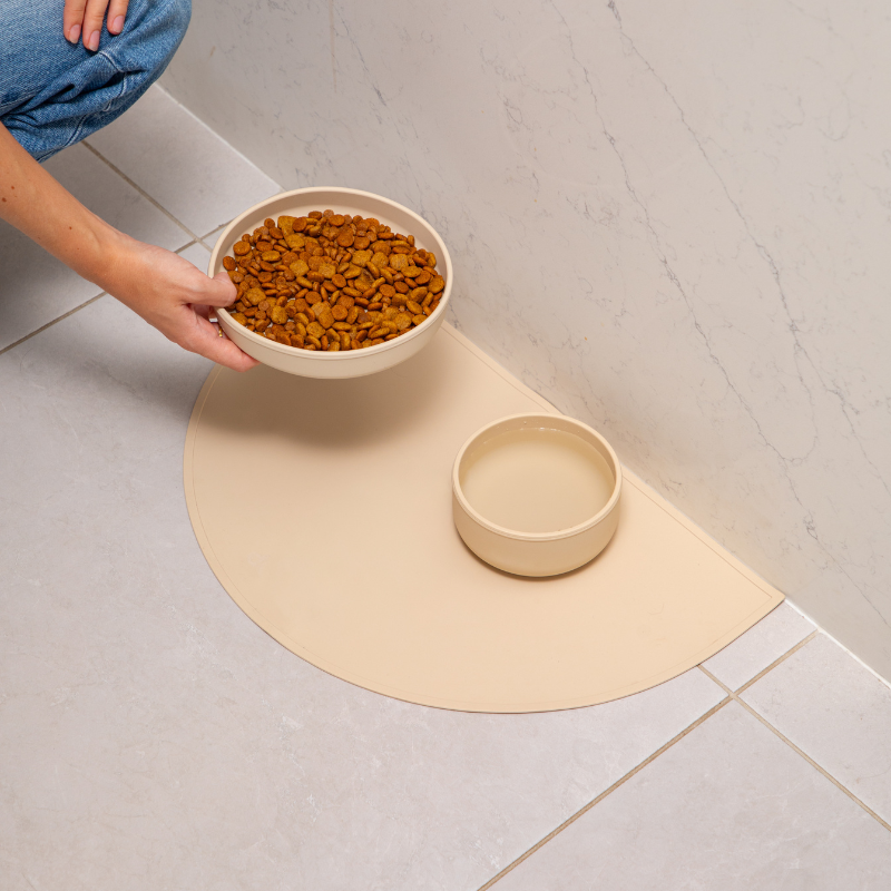 Dog mum placing food on plate beside water bowl on feeding mat at home