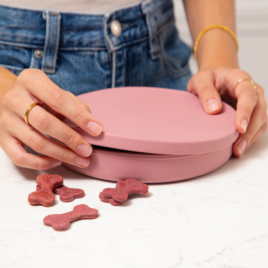 Leakproof dog food container and silicone plate with secure airtight lids